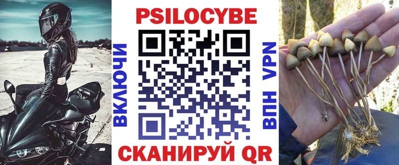 Псилоцибиновые грибы Cubensis Подпорожье