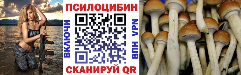 это телеграм  Подпорожье  Псилоцибиновые грибы MAGIC MUSHROOMS 